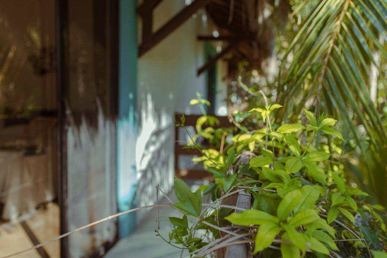 Hotel Villas Tiburon Isla Holbox Exterior photo